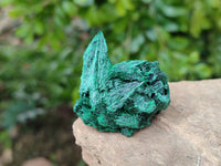 Natural Silky Malachite Specimens x 12 From Kasompe, Congo