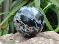 Polished Gabbro 'Merlinite' Spheres x 3 From Madagascar