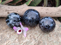 Polished Gabbro 'Merlinite' Spheres x 3 From Madagascar
