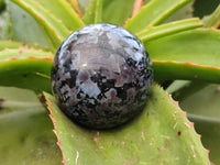Polished Gabbro 'Merlinite' Spheres x 3 From Madagascar