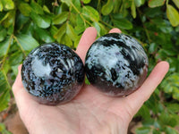 Polished Gabbro 'Merlinite' Spheres x 3 From Madagascar