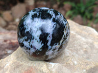Polished Gabbro 'Merlinite' Spheres x 3 From Madagascar