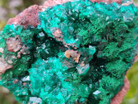 Natural Dioptase On Dolomite Specimens x 2 From Likasi, Congo