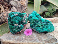 Natural Dioptase On Dolomite Specimens x 2 From Likasi, Congo