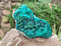 Natural Dioptase On Dolomite Specimens x 2 From Likasi, Congo