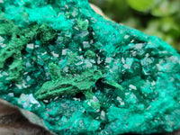 Natural Dioptase On Dolomite Specimens x 2 From Likasi, Congo
