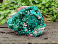 Natural Dioptase On Dolomite Specimens x 2 From Likasi, Congo