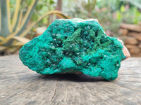 Natural Dioptase On Dolomite Specimens x 2 From Likasi, Congo