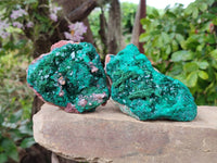 Natural Dioptase On Dolomite Specimens x 2 From Likasi, Congo