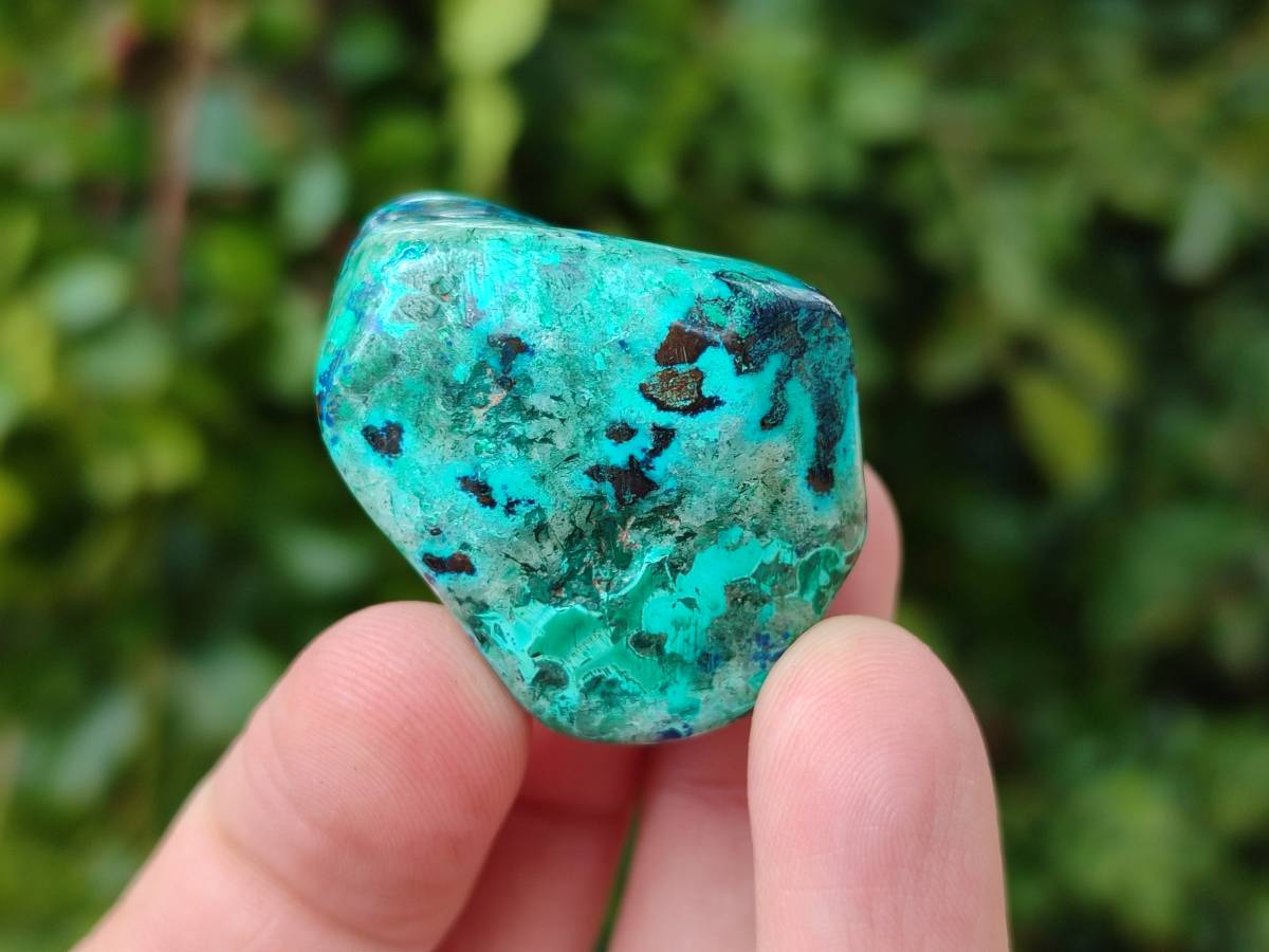 Polished Shattuckite Free Forms x 35 From Congo - Toprock Gemstones and Minerals 