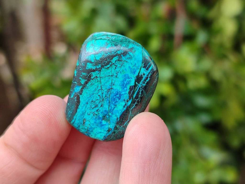 Polished Shattuckite Free Forms x 35 From Congo - Toprock Gemstones and Minerals 