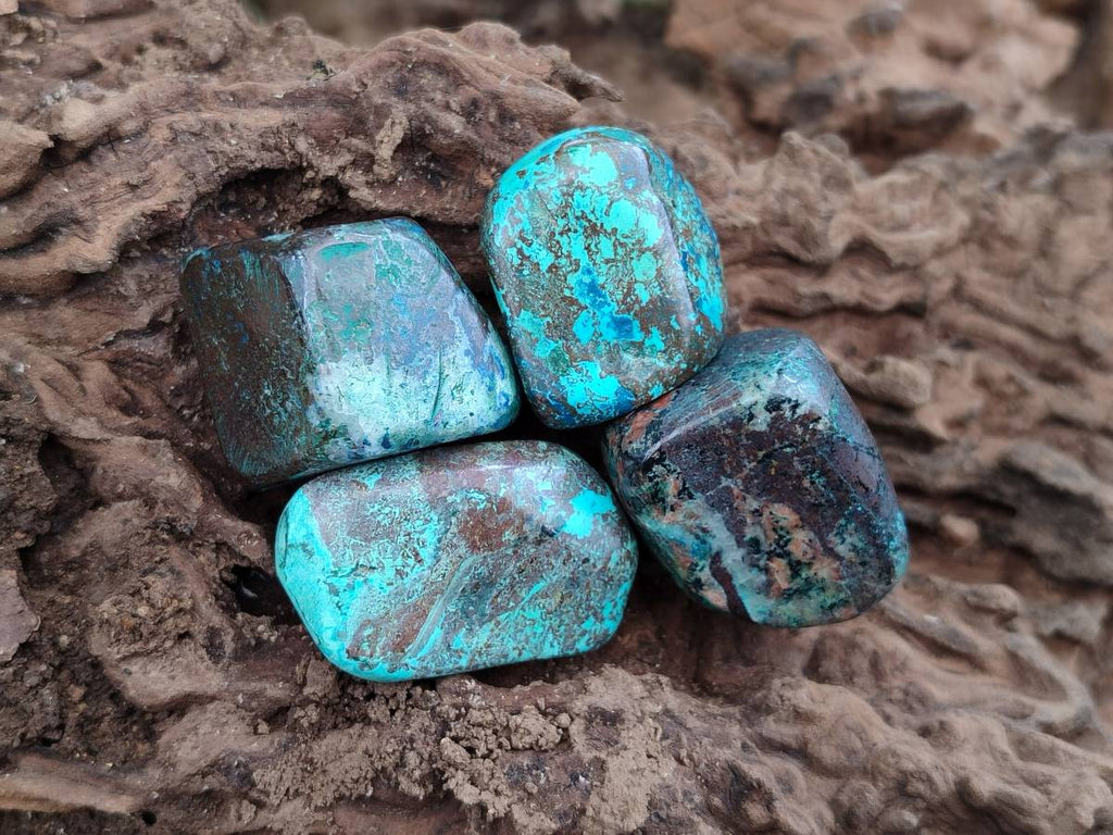 Polished Shattuckite Free Forms x 35 From Congo - Toprock Gemstones and Minerals 