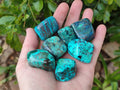 Polished Shattuckite Free Forms x 35 From Congo - Toprock Gemstones and Minerals 