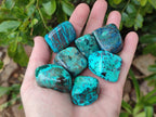 Polished Shattuckite Free Forms x 35 From Congo - Toprock Gemstones and Minerals 