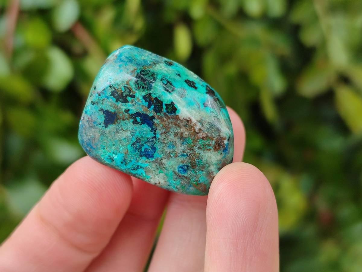 Polished Shattuckite Free Forms x 35 From Congo - Toprock Gemstones and Minerals 