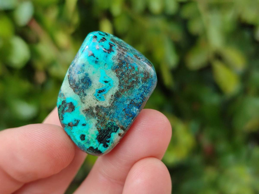 Polished Shattuckite Free Forms x 35 From Congo - Toprock Gemstones and Minerals 