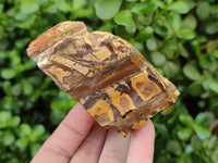 Natural Nguni Jasper Cobbed Specimens x 12 From Prieska, South Africa