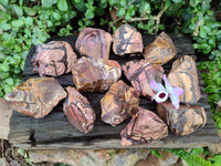 Natural Nguni Jasper Cobbed Specimens x 12 From Prieska, South Africa