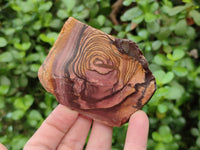 Natural Nguni Jasper Cobbed Specimens x 12 From Prieska, South Africa