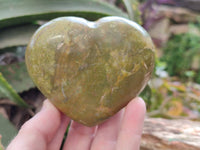 Polished Green Opal Hearts x 6 From Betroka, Madagascar