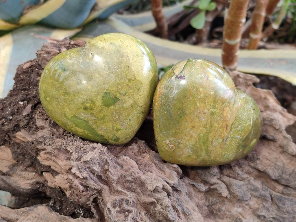 Polished Green Opal Hearts x 6 From Betroka, Madagascar - Toprock Gemstones and Minerals 