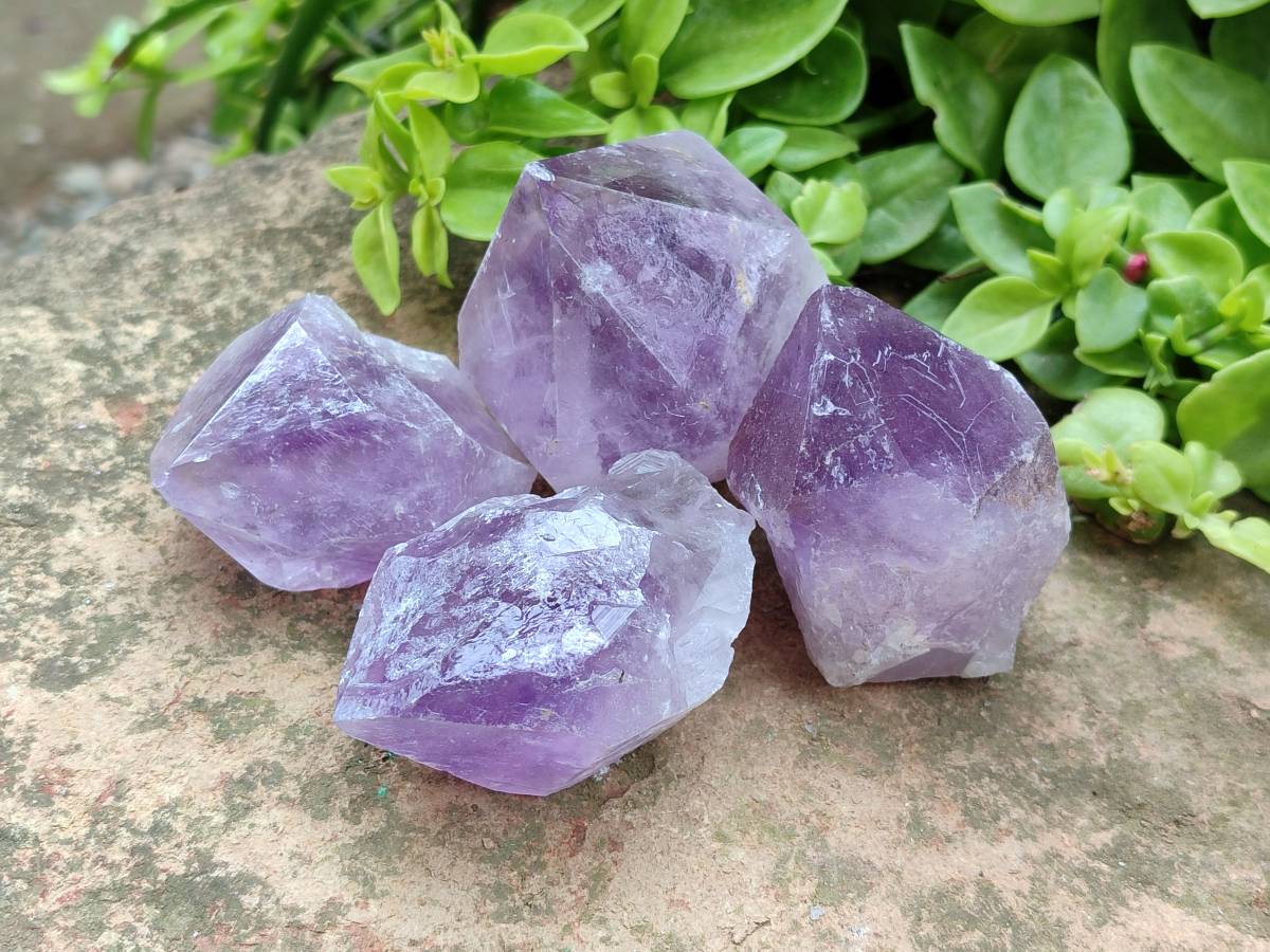 Natural Jacaranda Amethyst Quartz Crystals x 12 From Mumbwa, Zambia - Toprock Gemstones and Minerals 
