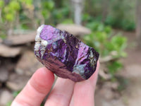 Natural Metallic Purpurite Specimens x 12 From Erongo, Namibia