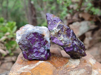 Natural Metallic Purpurite Specimens x 12 From Erongo, Namibia