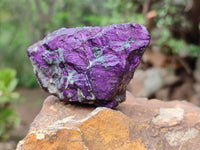 Natural Metallic Purpurite Specimens x 12 From Erongo, Namibia