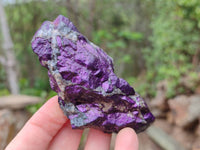 Natural Metallic Purpurite Specimens x 12 From Erongo, Namibia