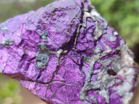 Natural Metallic Purpurite Specimens x 12 From Erongo, Namibia