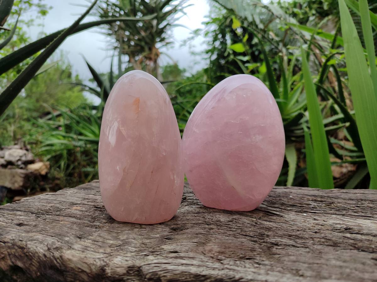 Polished Rose Quartz Standing Free Forms x 2 From Madagascar - Toprock Gemstones and Minerals 