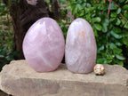 Polished Rose Quartz Standing Free Forms x 2 From Madagascar - Toprock Gemstones and Minerals 