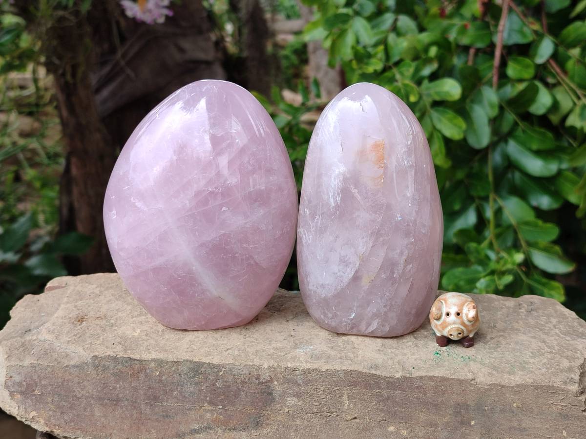 Polished Rose Quartz Standing Free Forms x 2 From Madagascar - Toprock Gemstones and Minerals 