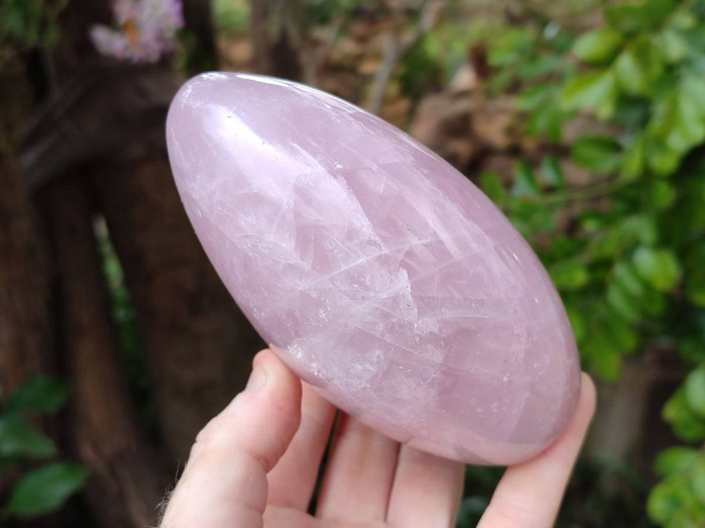 Polished Rose Quartz Standing Free Forms x 2 From Madagascar - Toprock Gemstones and Minerals 