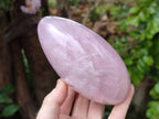 Polished Rose Quartz Standing Free Forms x 2 From Madagascar - Toprock Gemstones and Minerals 