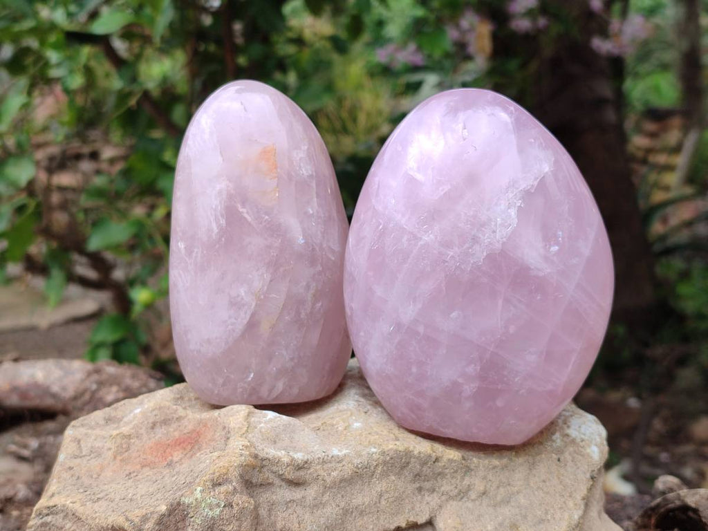 Polished Rose Quartz Standing Free Forms x 2 From Madagascar - Toprock Gemstones and Minerals 