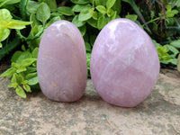 Polished Rose Quartz Standing Free Forms x 2 From Madagascar
