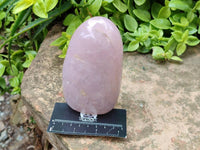Polished Rose Quartz Standing Free Forms x 2 From Madagascar