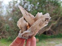 Natural Drusy Quartz Coated Calcite Pseudomorph Specimens x 4 From Alberts Mountain, Lesotho