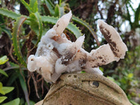 Natural Drusy Quartz Coated Calcite Pseudomorph Specimens x 4 From Alberts Mountain, Lesotho
