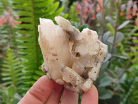 Natural Drusy Quartz Coated Calcite Pseudomorph Specimens x 4 From Alberts Mountain, Lesotho