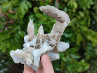 Natural Drusy Quartz Coated Calcite Pseudomorph Specimens x 4 From Alberts Mountain, Lesotho
