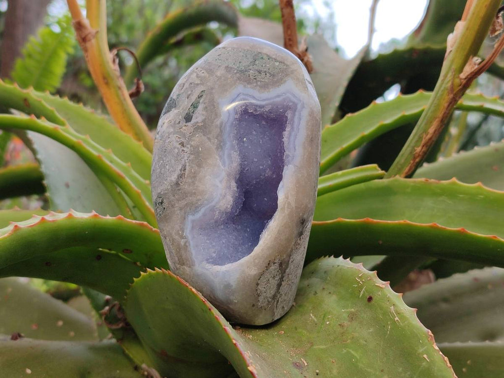 Polished Blue Lace Agate Standing Free Forms x 3 From Nsanje, Malawi - Toprock Gemstones and Minerals 