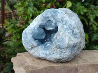 Natural Blue Celestite Geode Specimens x 1 From Sakoany, Madagascar