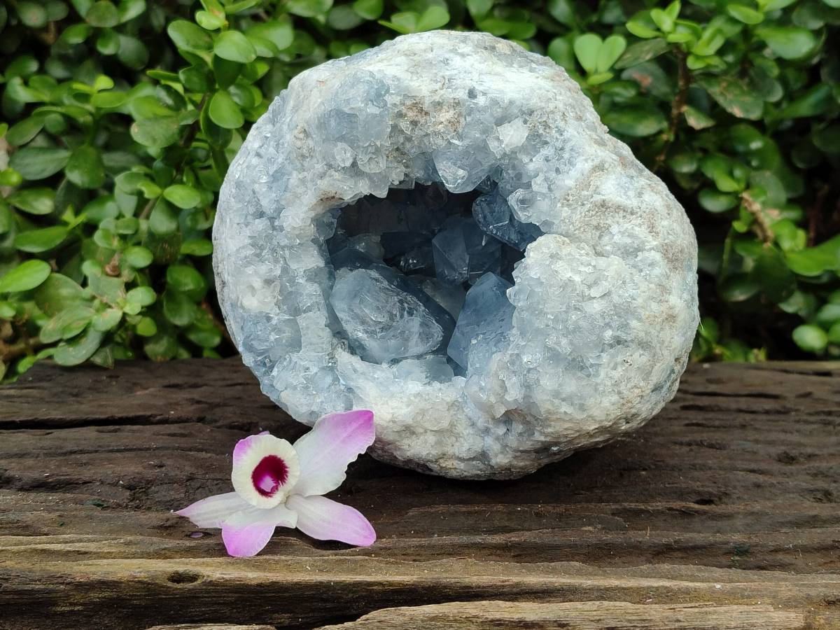 Natural Blue Celestite Geode Specimens x 1 From Sakoany, Madagascar - Toprock Gemstones and Minerals 