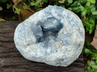 Natural Blue Celestite Geode Specimens x 1 From Sakoany, Madagascar