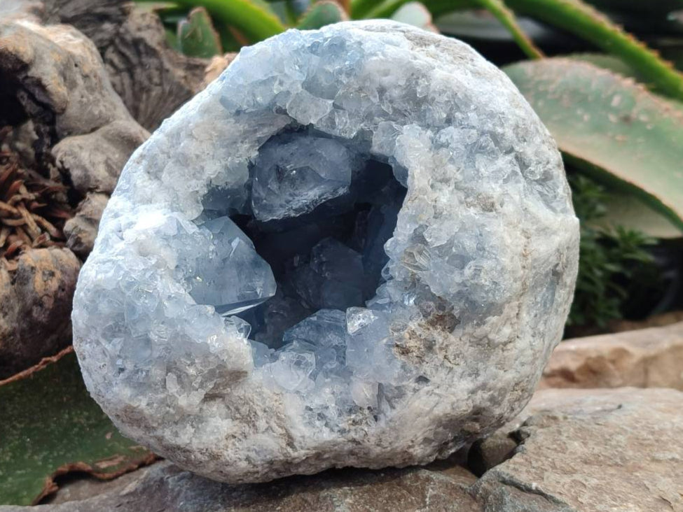 Natural Blue Celestite Geode Specimens x 1 From Sakoany, Madagascar - Toprock Gemstones and Minerals 