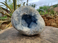 Natural Blue Celestite Geode Specimens x 1 From Sakoany, Madagascar