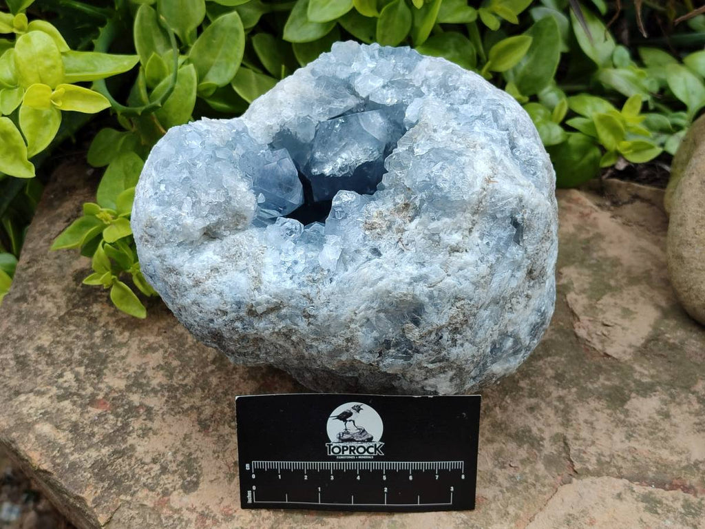 Natural Blue Celestite Geode Specimens x 1 From Sakoany, Madagascar - Toprock Gemstones and Minerals 